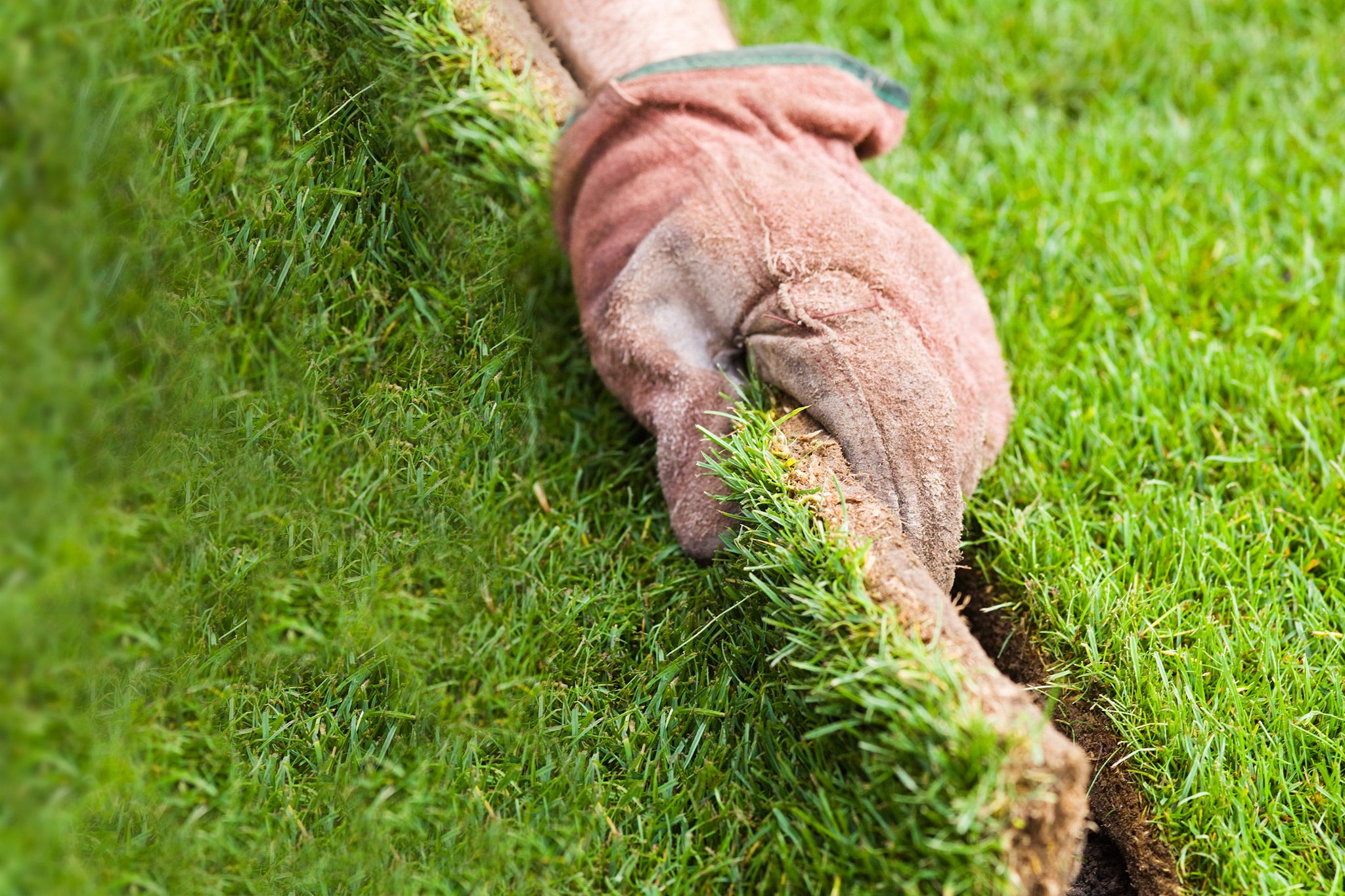 Lawn Installation