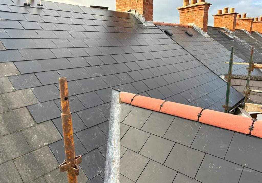 Professional Roofing